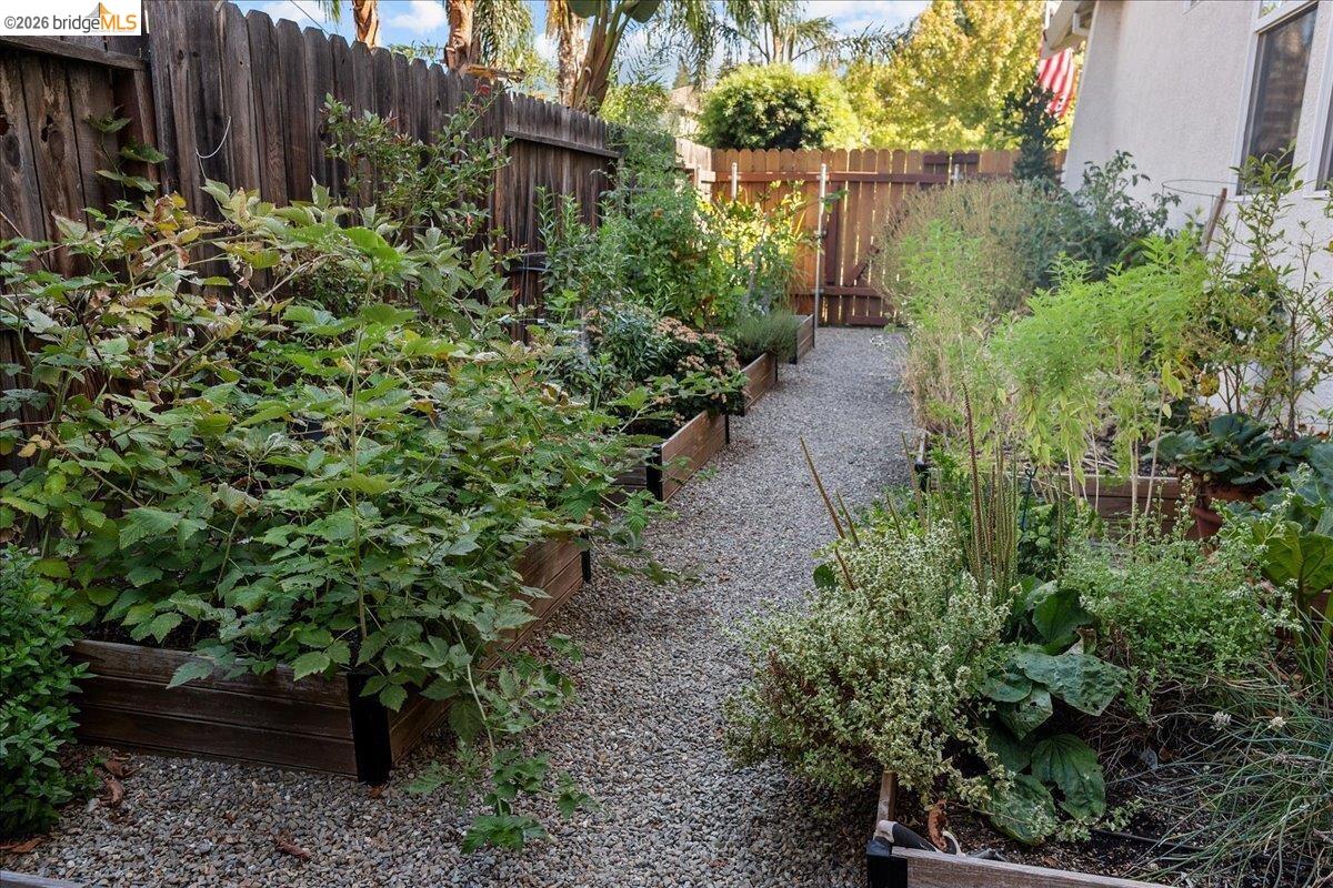 653 Bouma Lane Ripon, CA 95366 - Photo 38 of 39 Gallery Image 38