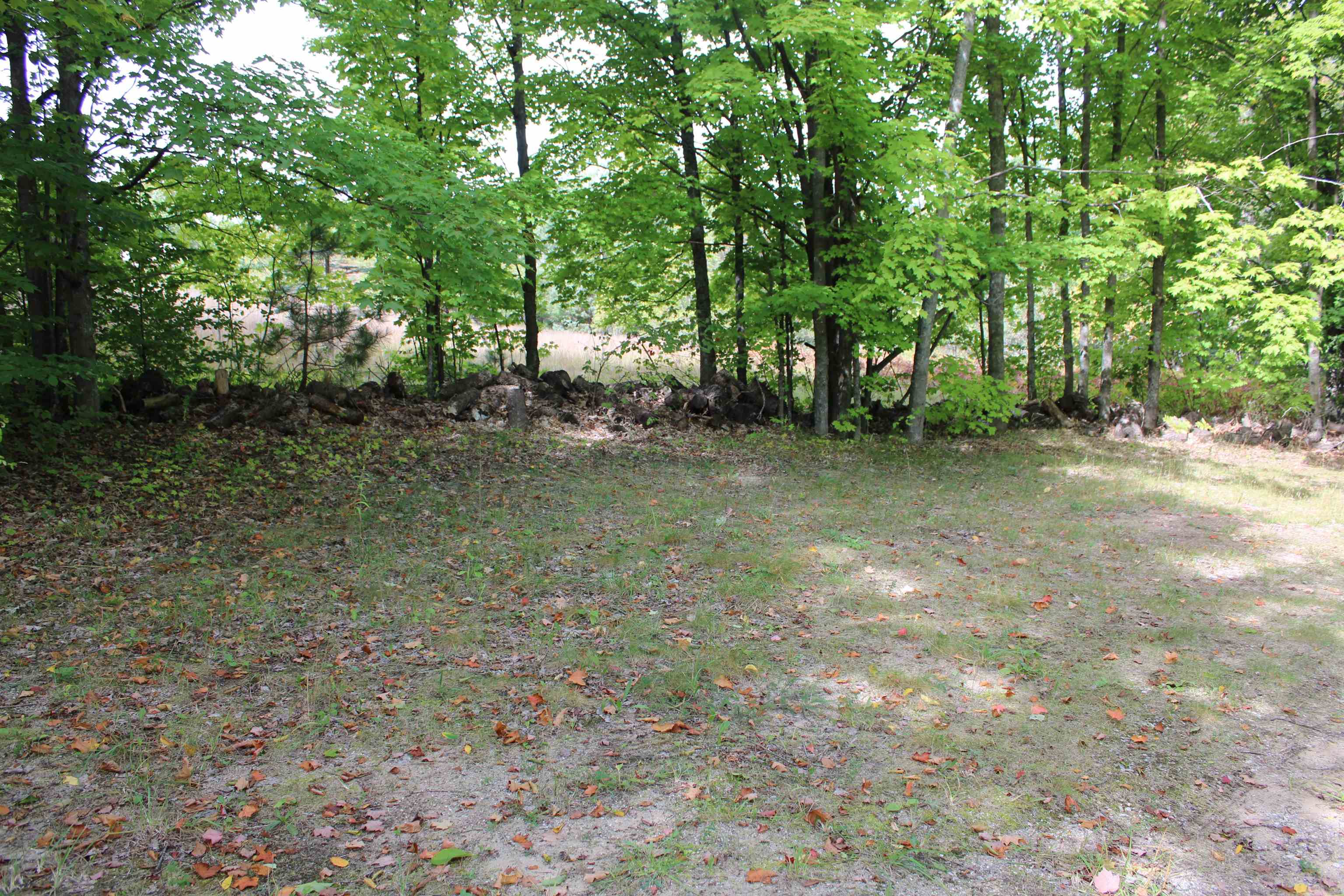 659 Dorman Road Northeast Kalkaska, MI 49646 - Photo 6 of 22 Gallery Image 6