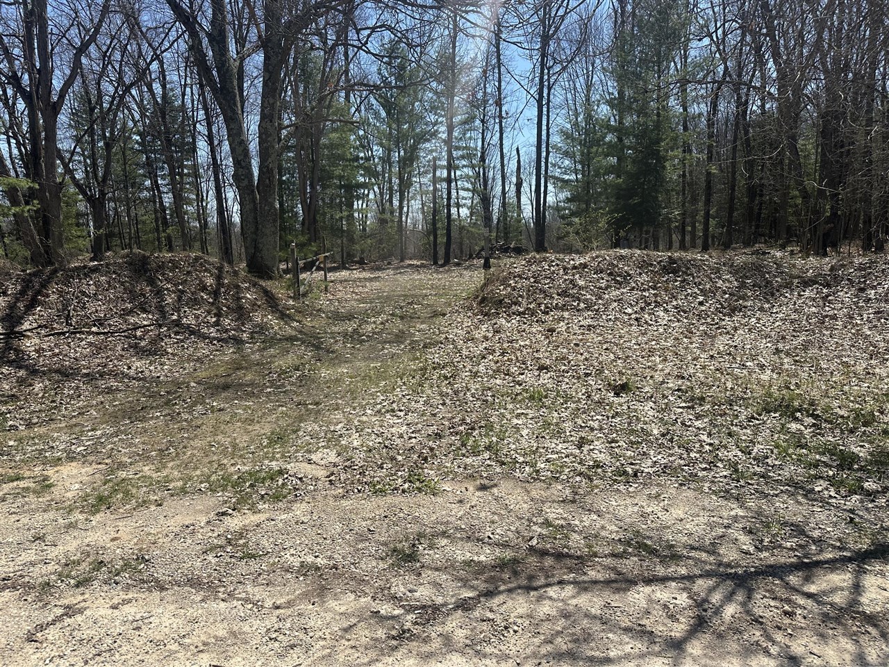 604 Beaver Road Bitely, MI 49309 - Photo 96 of 99