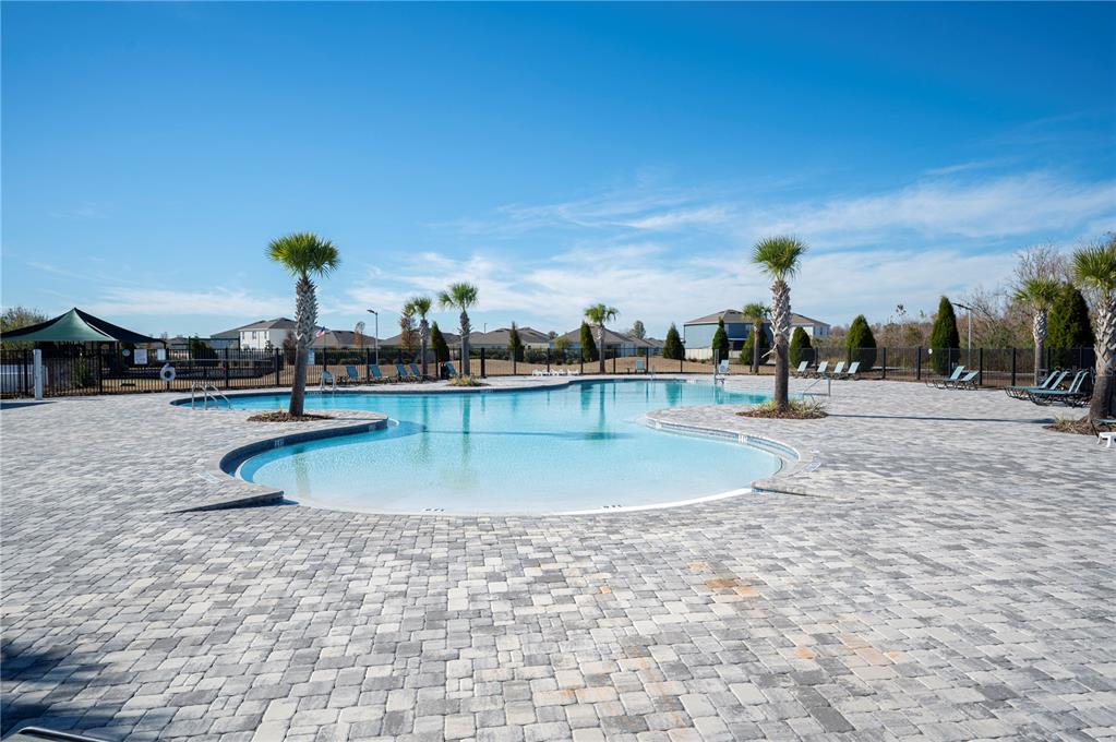 3921 White Ibis Road Lakeland, FL 33811 - Photo 41 of 47