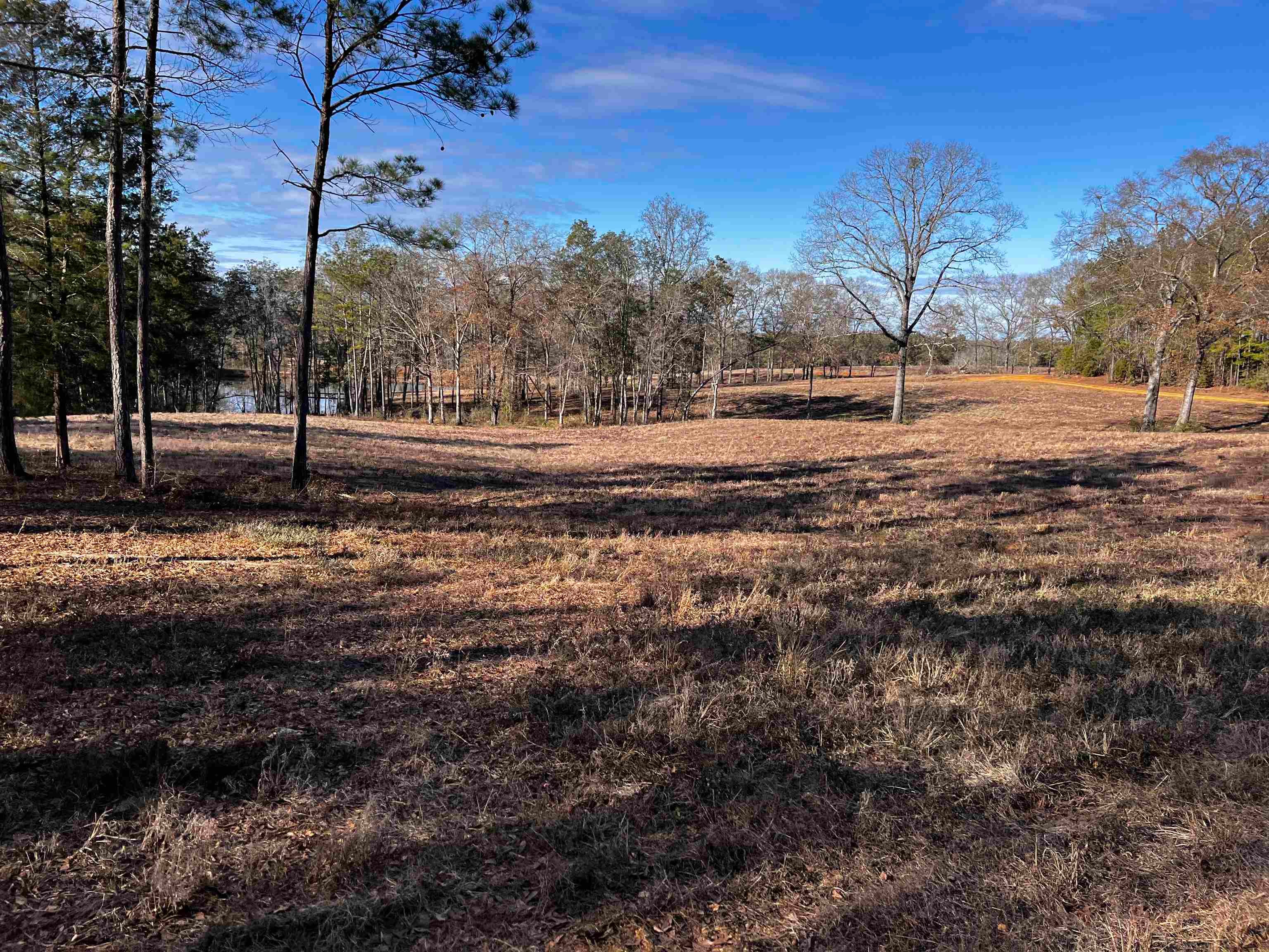 0 Co Road McKenzie, AL 36456 - Photo 10 of 16 Gallery Image 10