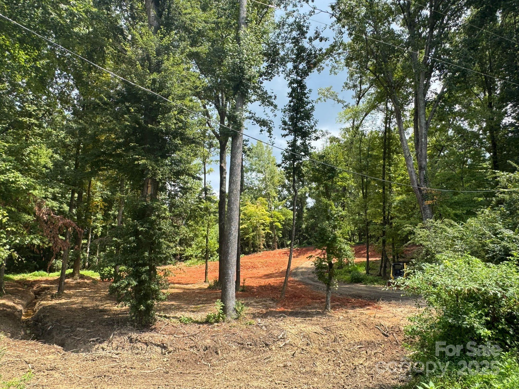 5904 McWhorter Road Waxhaw, NC 28173 - Photo 2 of 5 a view of a tree in the middle of a yard