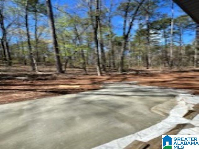 360 Black Acres Road Cropwell, AL 35054 - Photo 8 of 21