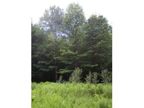 Off Newton Road Cavendish, VT 05142 - Photo 4 of 4