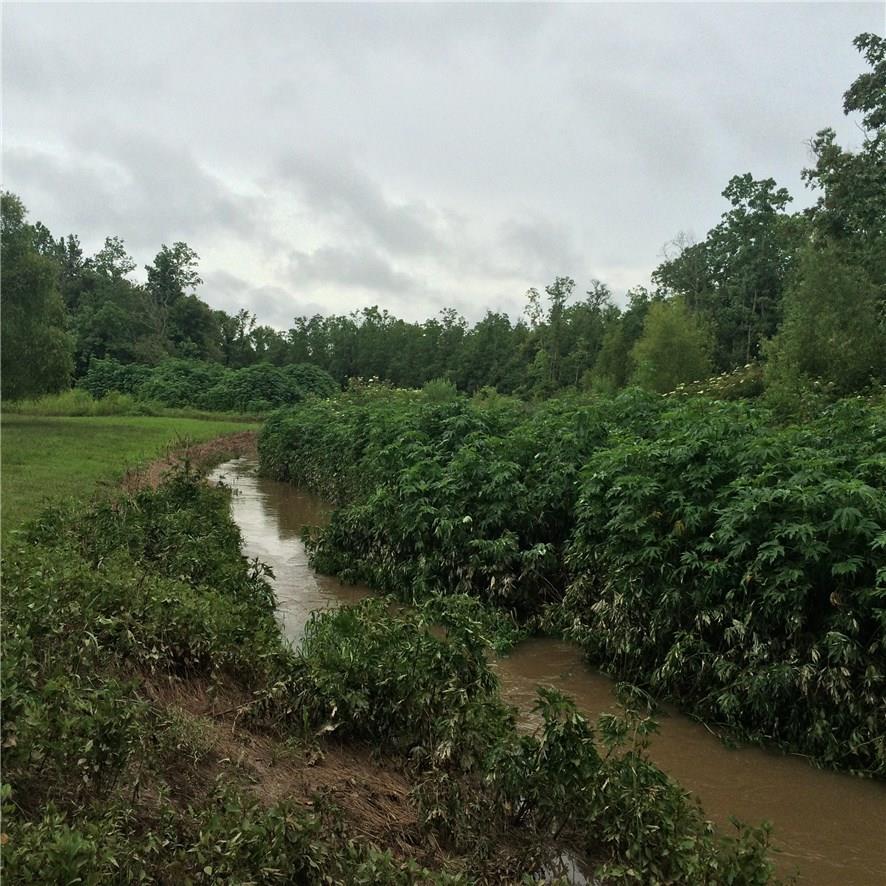 198 Bills Road Ragley, LA 70657 - Photo 8 of 26