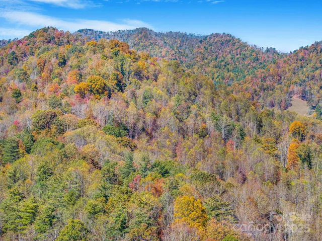 a view of mountain and tree