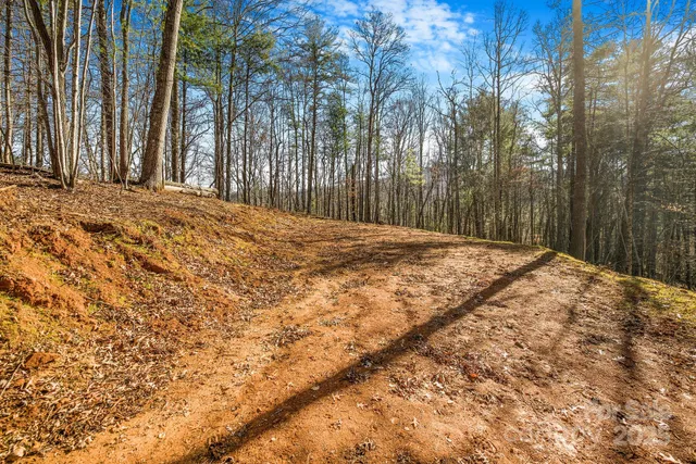 a view of a yard with wooden fence