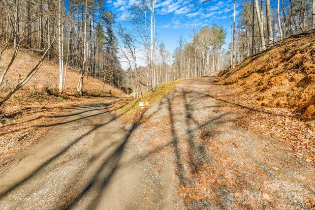 a view of a area with trees