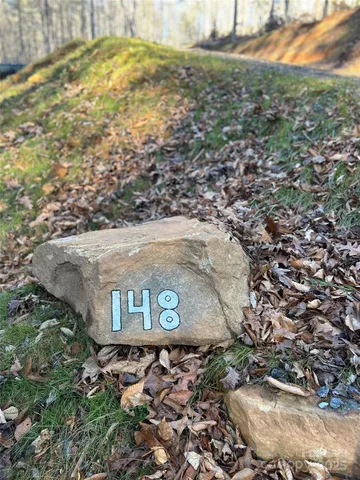a view of a yard with trees