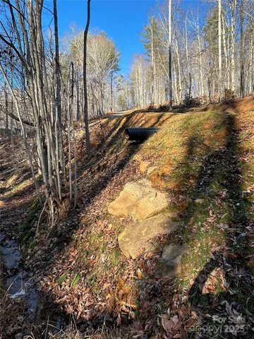 a view of a forest with mountains in the background