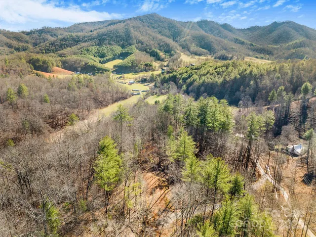 a view of a lush green hillside and a mountain view