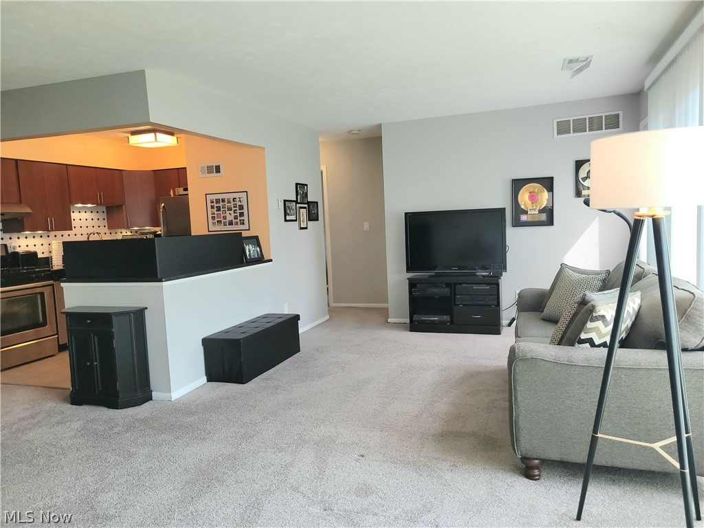 985 Canyon View Road, Unit 202B Northfield, OH 44067 - Photo 2 of 29 Maintenance FREE Living- Come and enjoy all the great amenities
