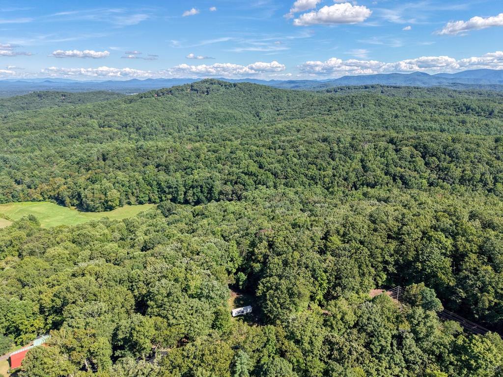 2 Blue Ridge Blue Ridge, GA 30513 - Photo 21 of 31 Gallery Image 21
