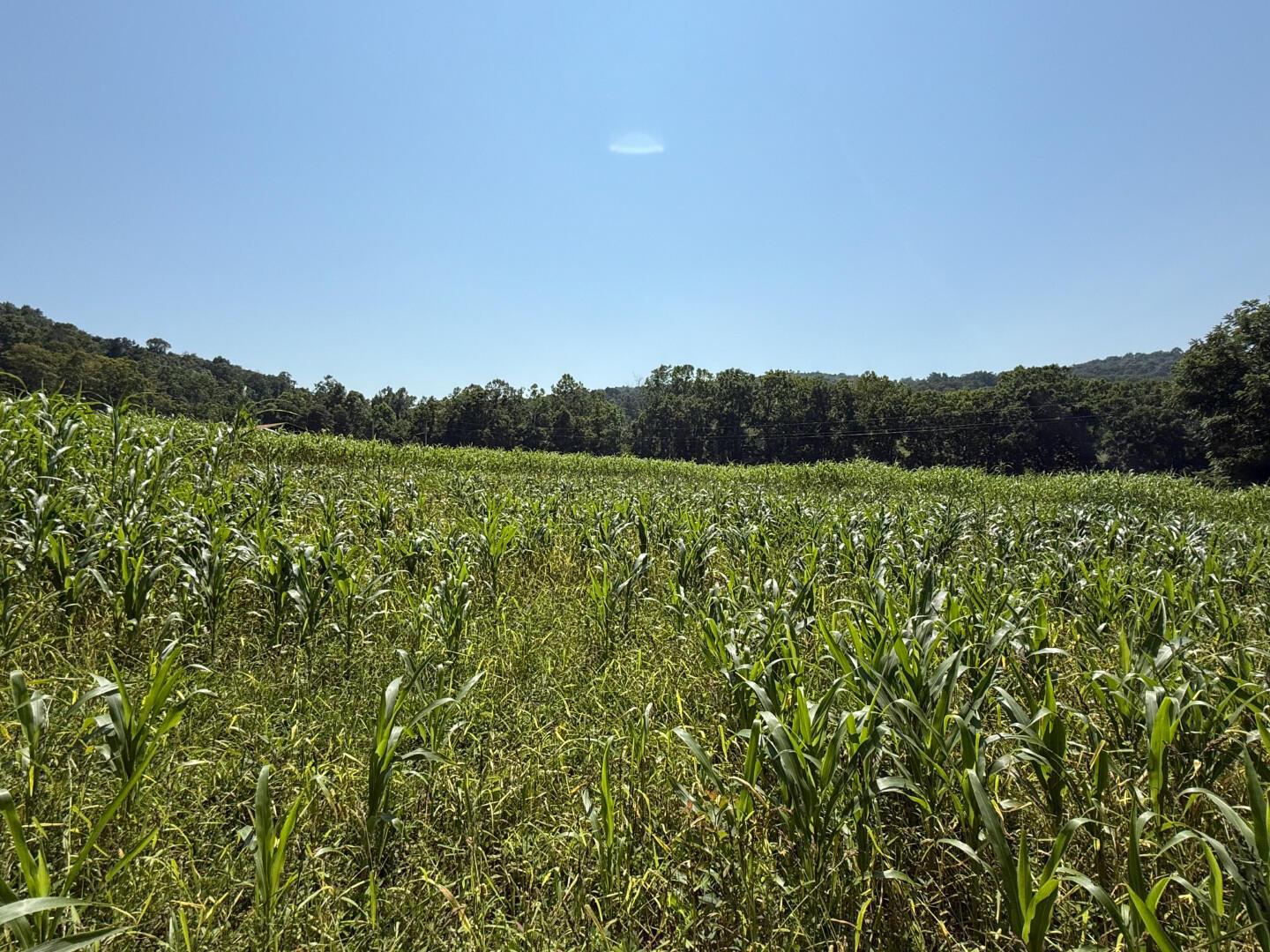 0 Schmidt Road Bainbridge, OH 45612 - Photo 26 of 59 0 Schmidt Rd (27 of 60)