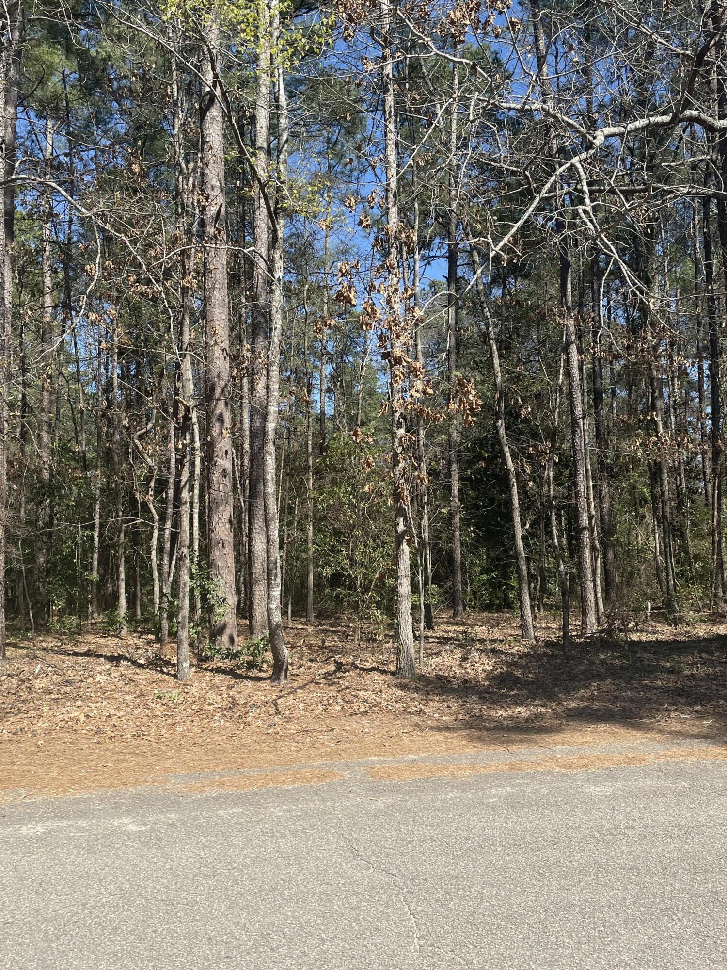 0 Alpine Drive Aiken, SC 29803 - Photo 1 of 1