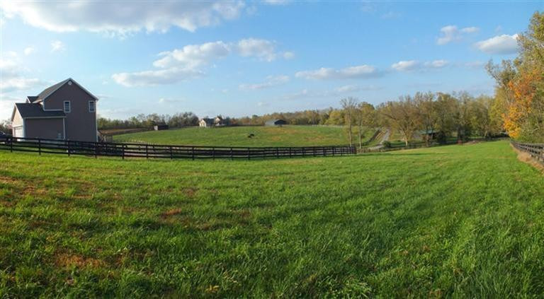 464 Elm Corner Road Versailles, KY 40383 - Photo 4 of 52 Photo 4