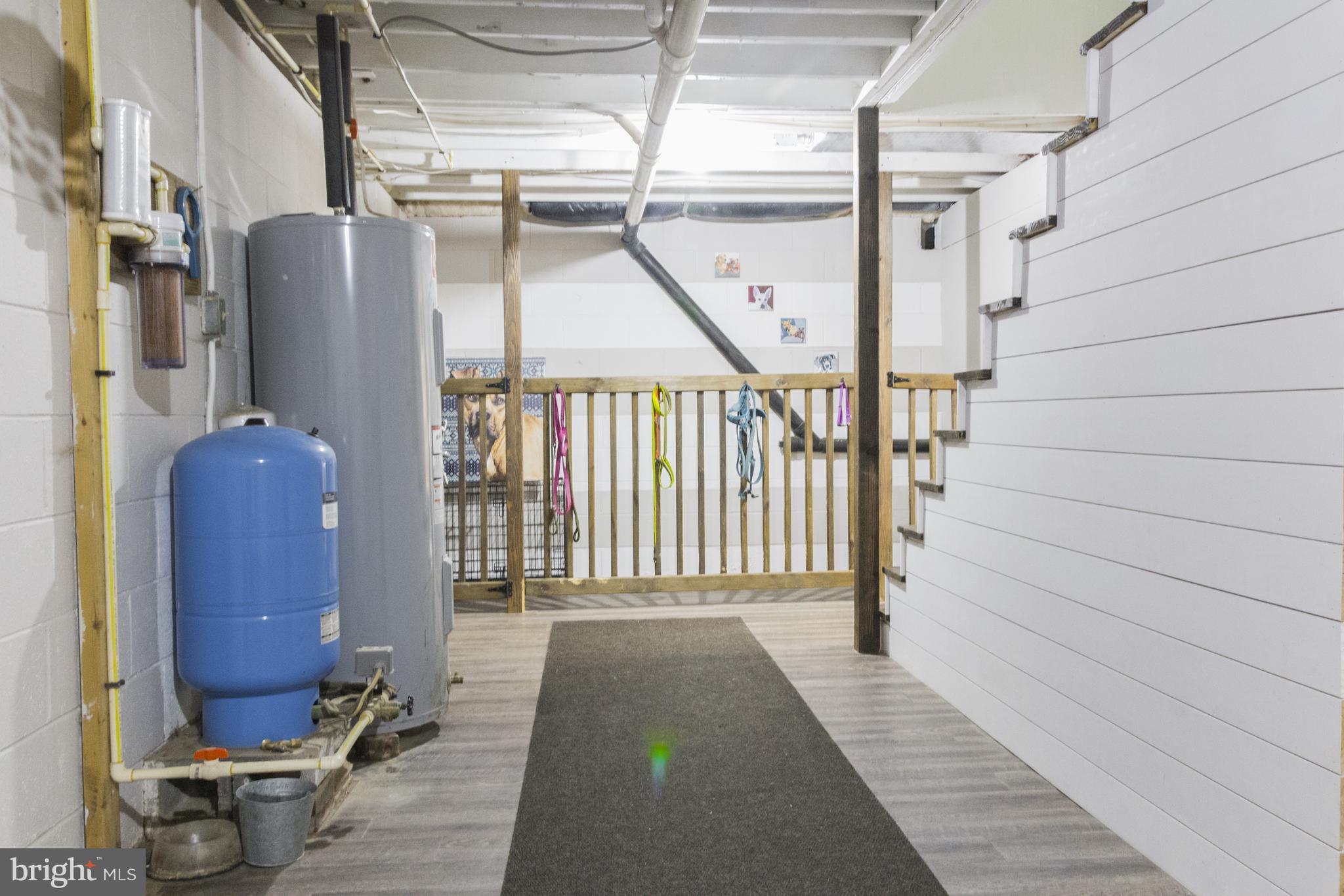 207 Sharon Street Rising Sun, MD 21911 - Photo 20 of 31 Lovely open basement with outside access