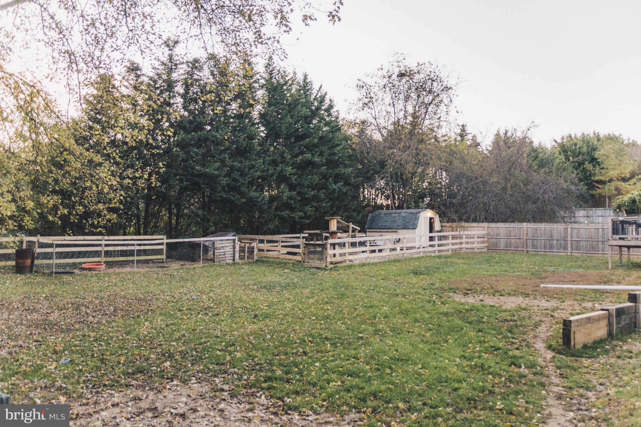 207 Sharon Street Rising Sun, MD 21911 - Photo 28 of 31 Rear yard with shed and fencing for your pets