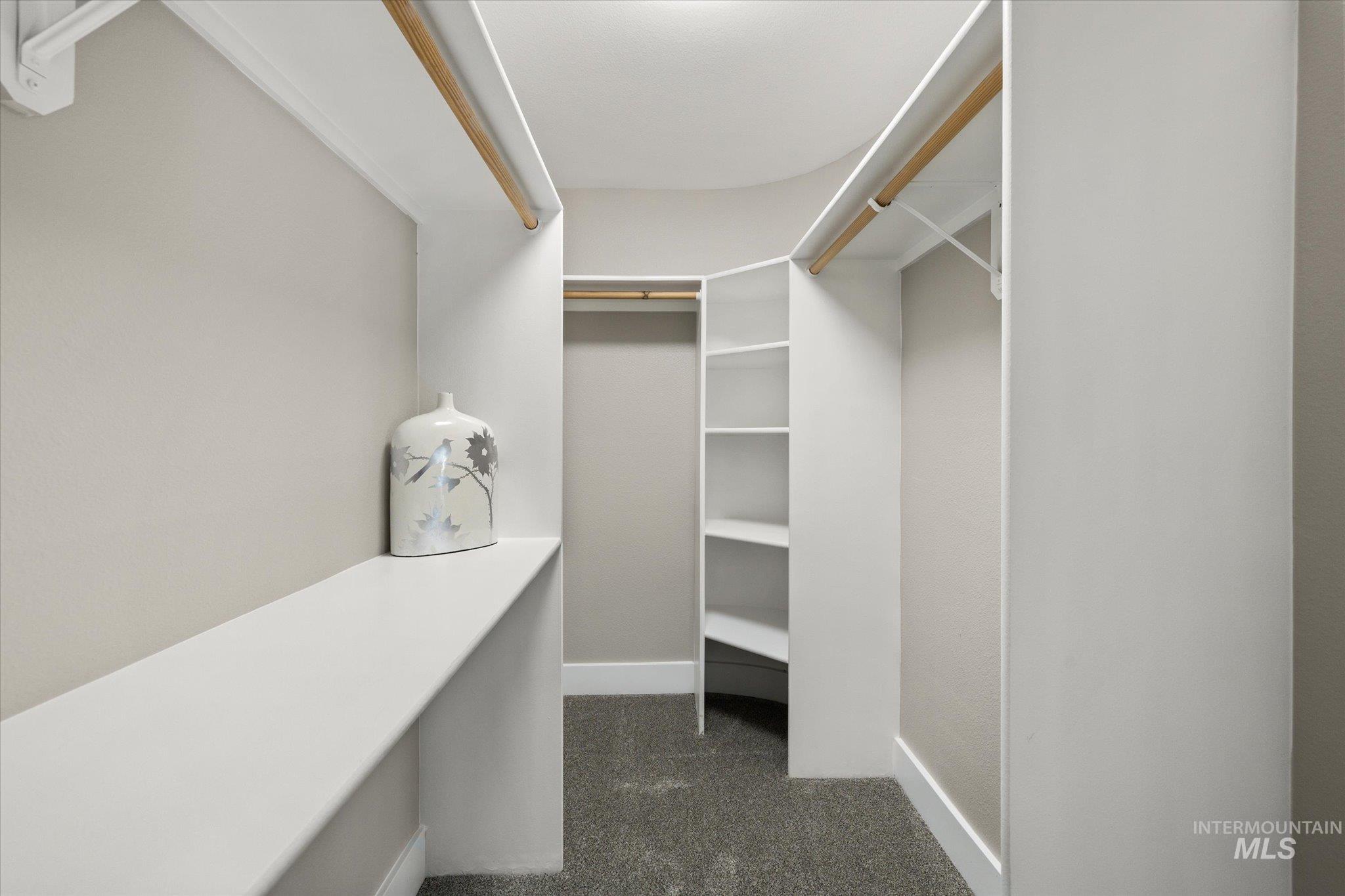 2250 North Amethyst Avenue Meridian, ID 83646 - Photo 35 of 50 Walk in closet with dark colored carpet
