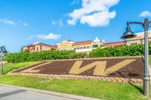 a view of a pathway with a yard