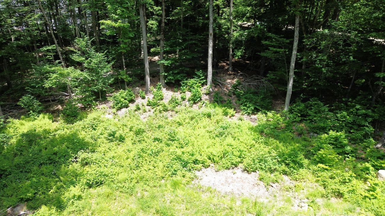 151 Red Coat Lane Stoddard, NH 03464 - Photo 3 of 23