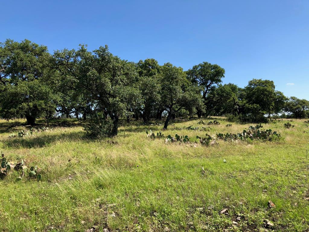 0 Old Harper Road, Unit 7 Harper, TX 78631 - Photo 1 of 1 Main View