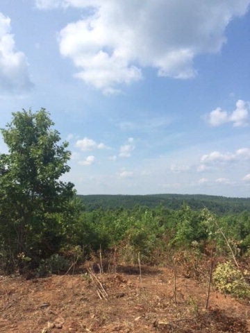 0 Hayes Mill Road Dadeville, AL 36853 - Photo 12 of 14 Gallery Image 12