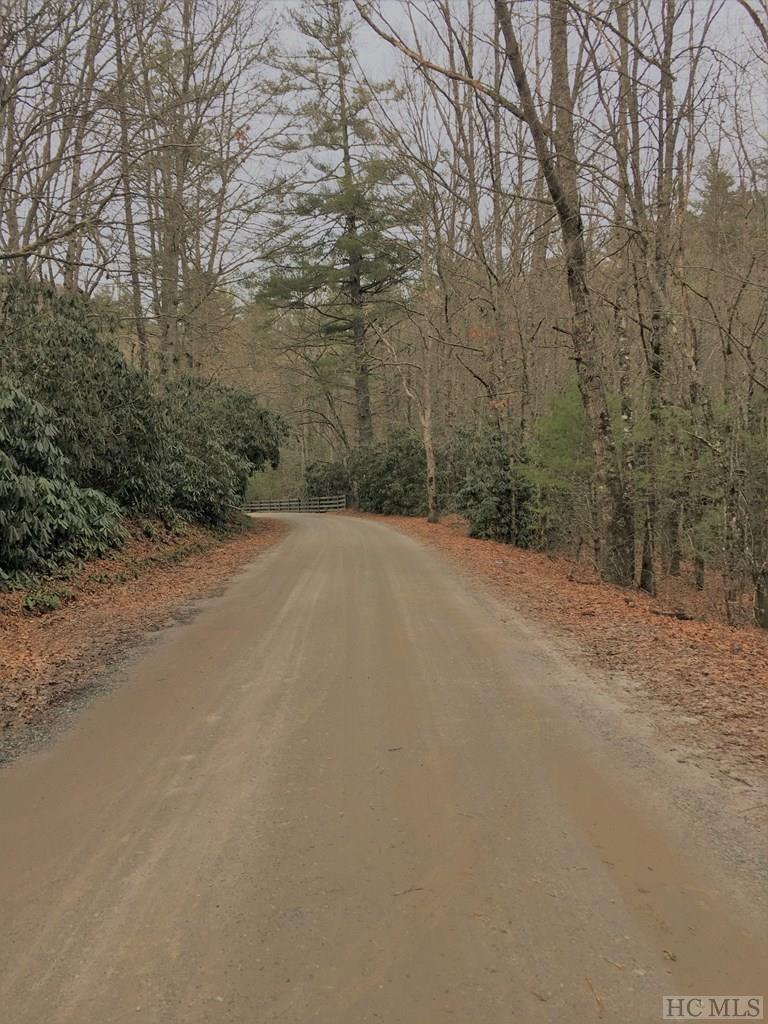 3264 Turtle Pond Road Highlands, NC 28741 - Photo 4 of 5 Gallery Image 4