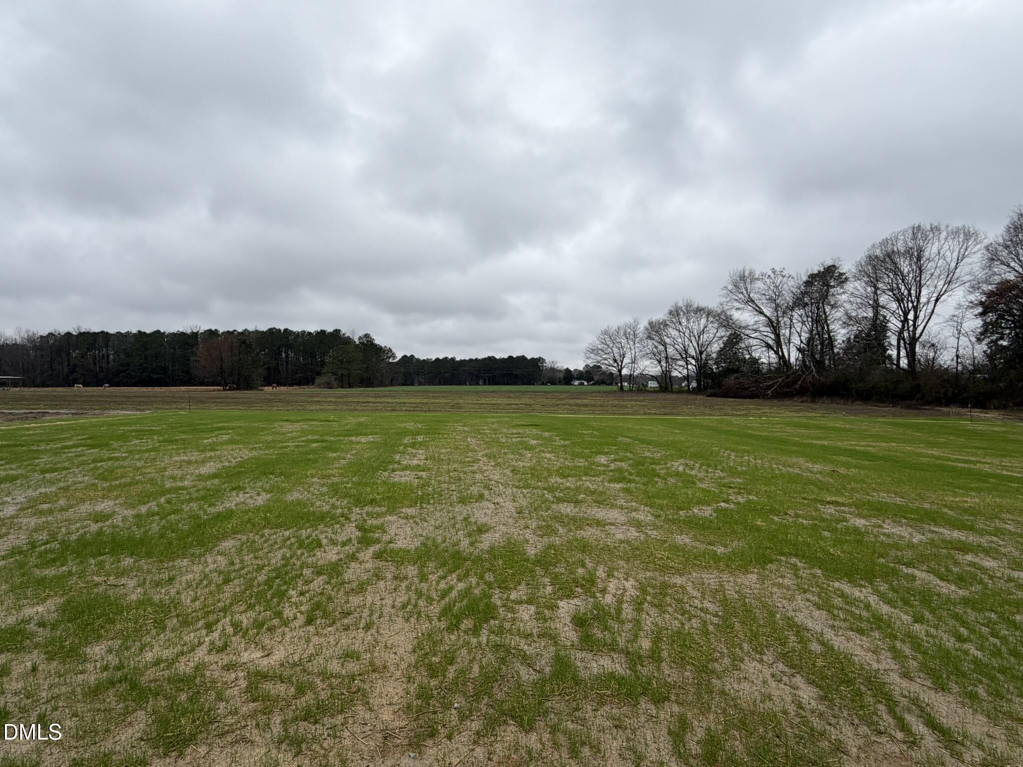 219 Jacobs Ridge Drive Four Oaks, NC 27524 - Photo 18 of 19 a view of a lake