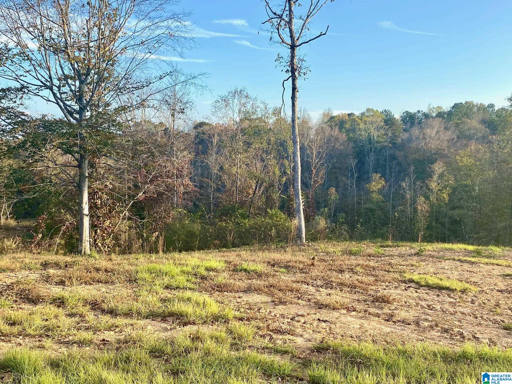 325 County Road 13 Heflin, AL 36264 - Photo 17 of 56