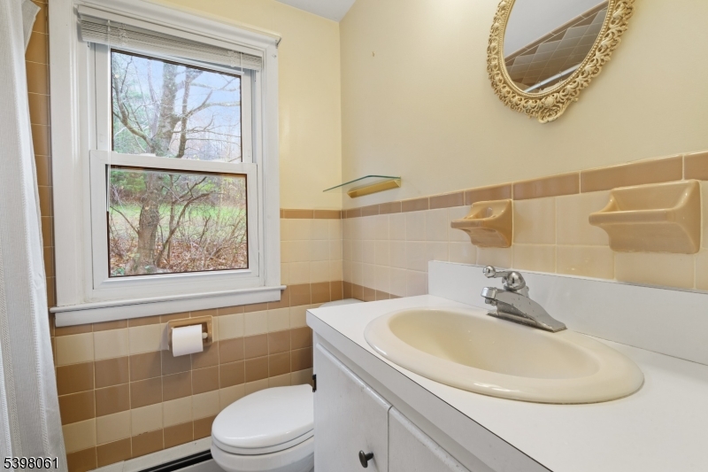 34 Old Mountain Road Lebanon, NJ 08833 - Photo 15 of 26 a bathroom with a sink a toilet and a tub