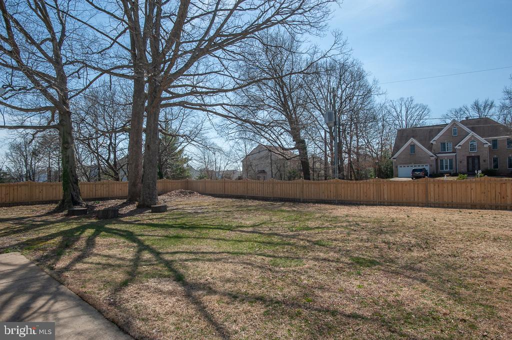 6525 Joyce Road Alexandria, VA 22310 - Photo 48 of 51 a view of a yard with a large tree