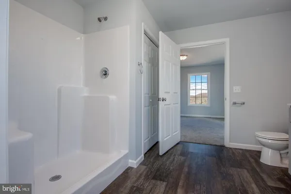 a bathroom with a shower and a toilet
