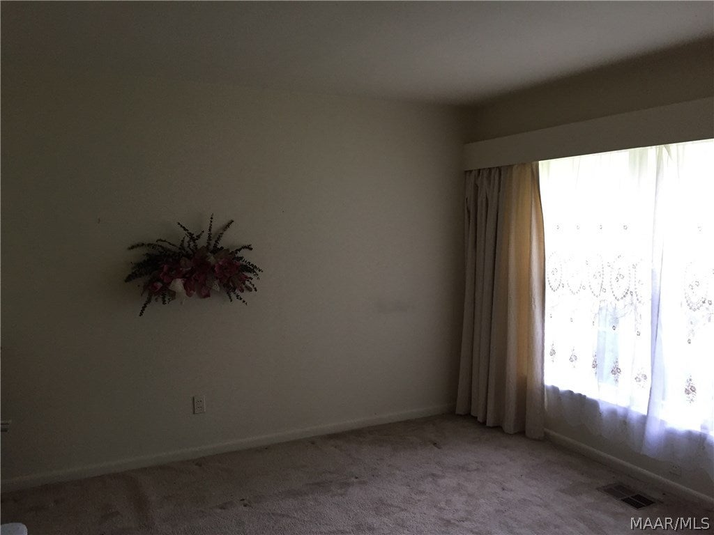 400 North Ripley Street Samson, AL 36477 - Photo 10 of 27 Gallery Image 10