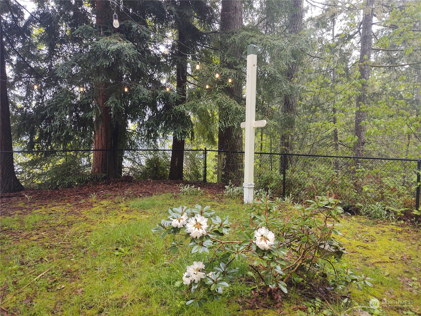 9320 Northeast North Shore Road Belfair, WA 98528 - Photo 17 of 40 a view of yard with tree