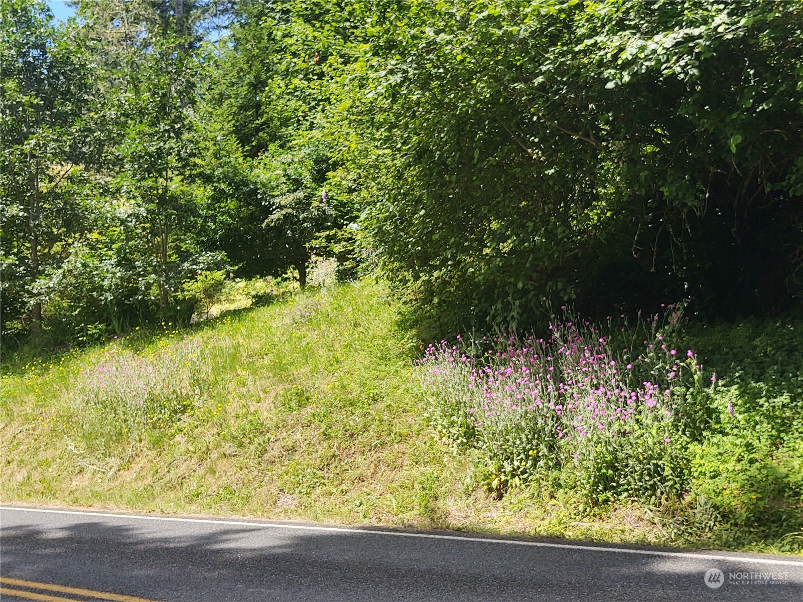 9320 Northeast North Shore Road Belfair, WA 98528 - Photo 39 of 40 a view of a garden