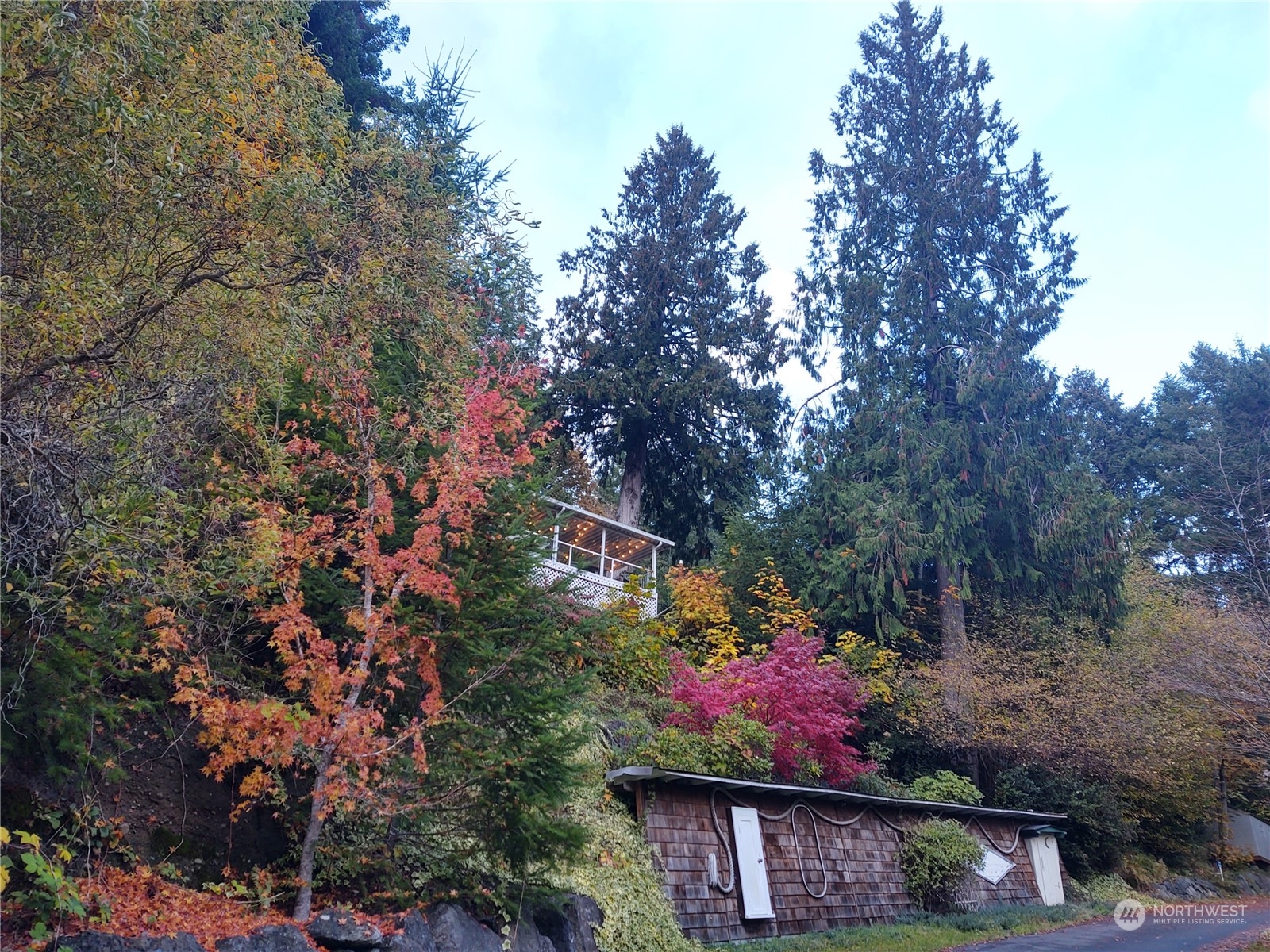 9320 Northeast North Shore Road Belfair, WA 98528 - Photo 8 of 40 a view of a outdoor space