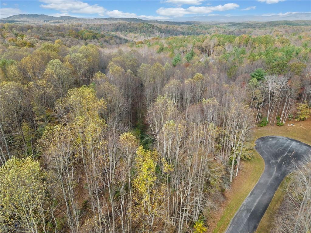 14 Highpoint Ridge Ellijay, GA 30536 - Photo 4 of 24 Gallery Image 4