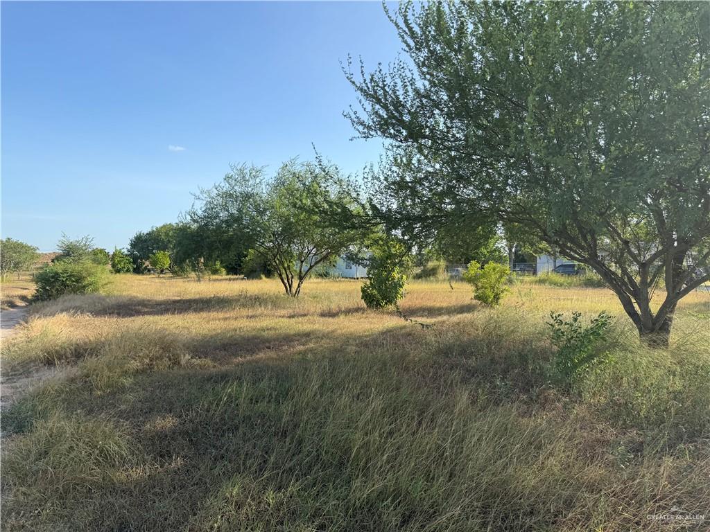 9009 Vista Ridge Drive Edcouch, TX 78538 - Photo 4 of 4 Expansive land parcel featuring natural grasses and mature trees under a clear sky