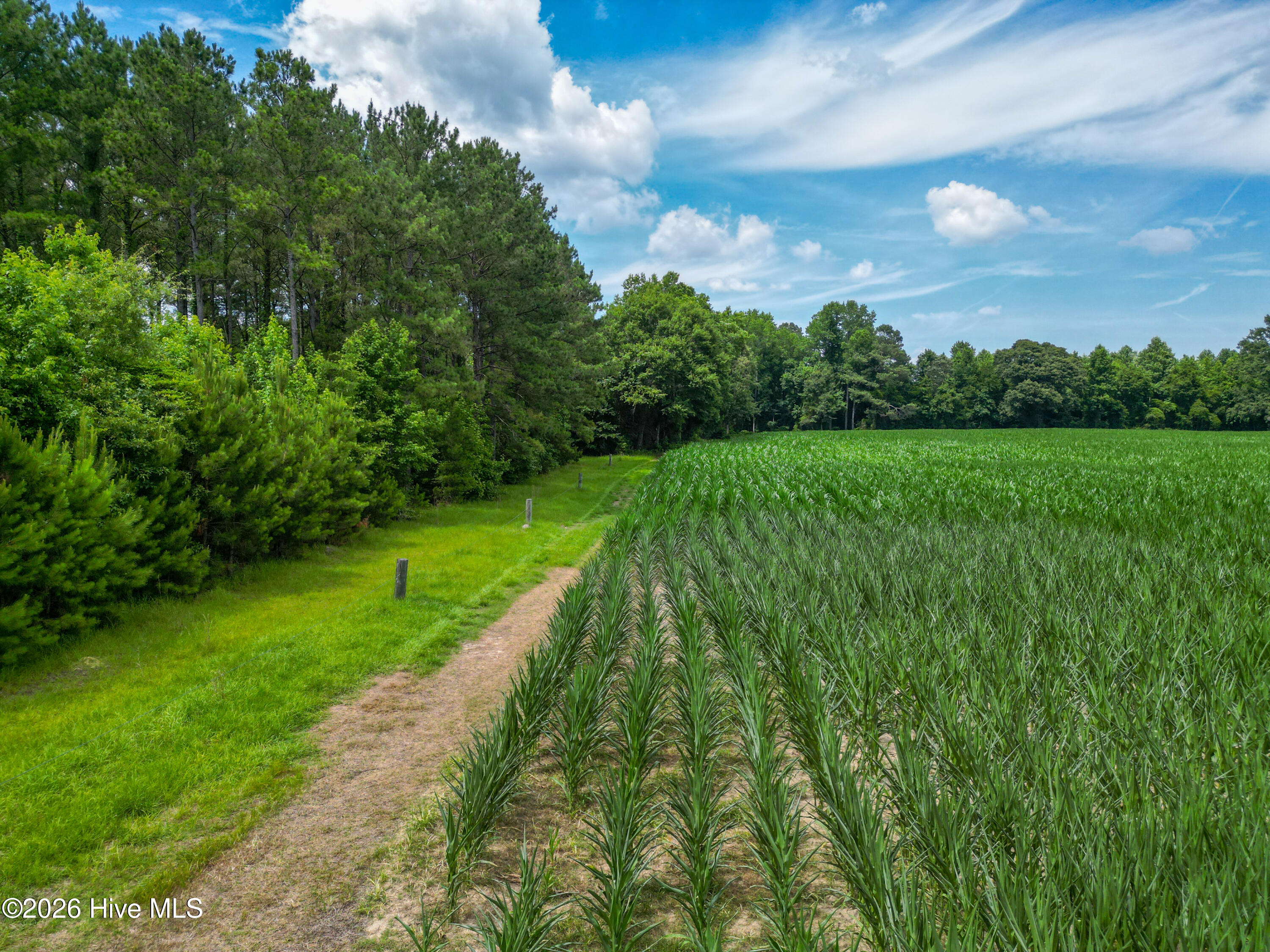 Tbd Farmers Union Road Clarkton, NC 28433 - Photo 9 of 13