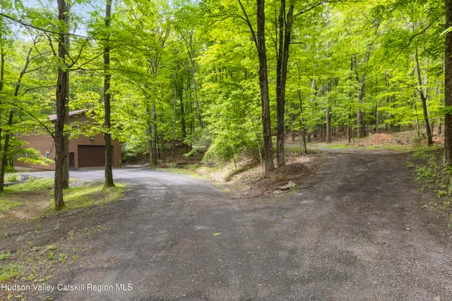 a view of a forest with trees