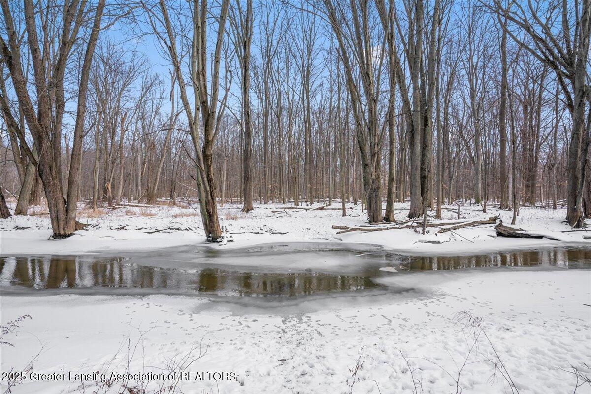 2320 College Road Holt, MI 48842 - Photo 56 of 56 Sycamore Creek