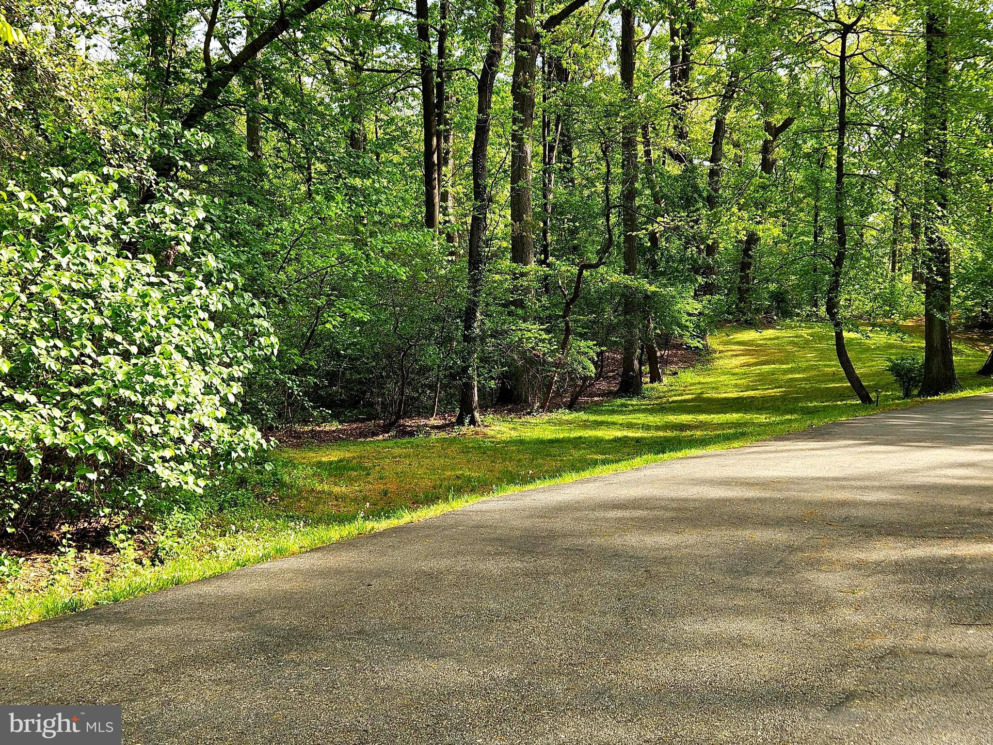 1711 Ritchie Highway Annapolis, MD 21409 - Photo 15 of 16 a view of a park