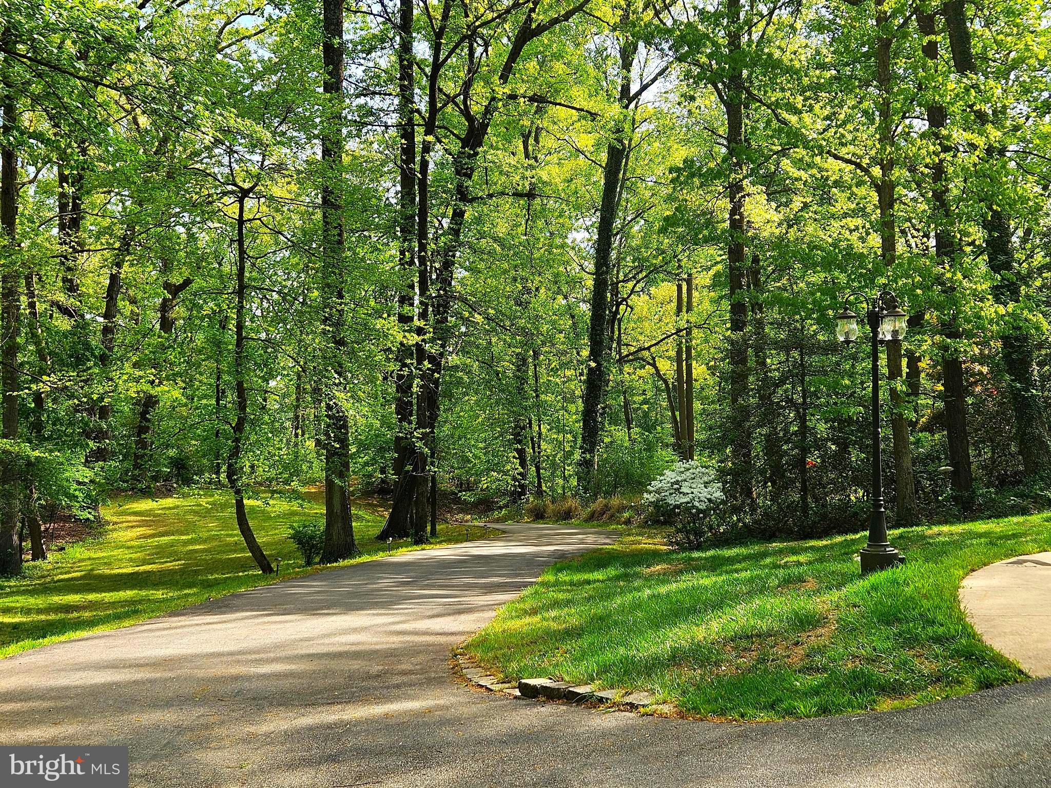 1711 Ritchie Highway Annapolis, MD 21409 - Photo 16 of 16 a view of a yard