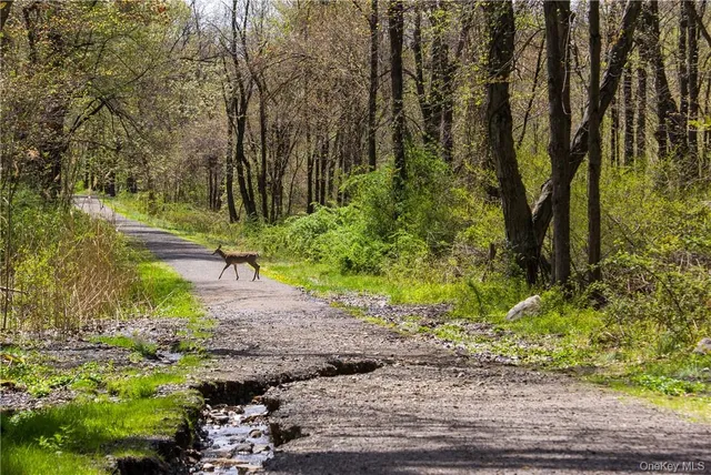 $2,500 | 5 John Street, Unit 3RD FL PENTHOUSE, Tarrytown, NY 10591