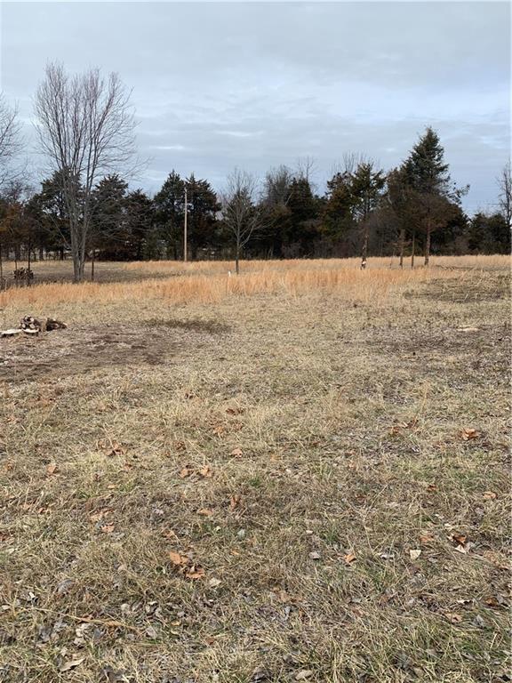 Lot 5 Doc Meyer Road Seligman, MO 65745 - Photo 1 of 1 2