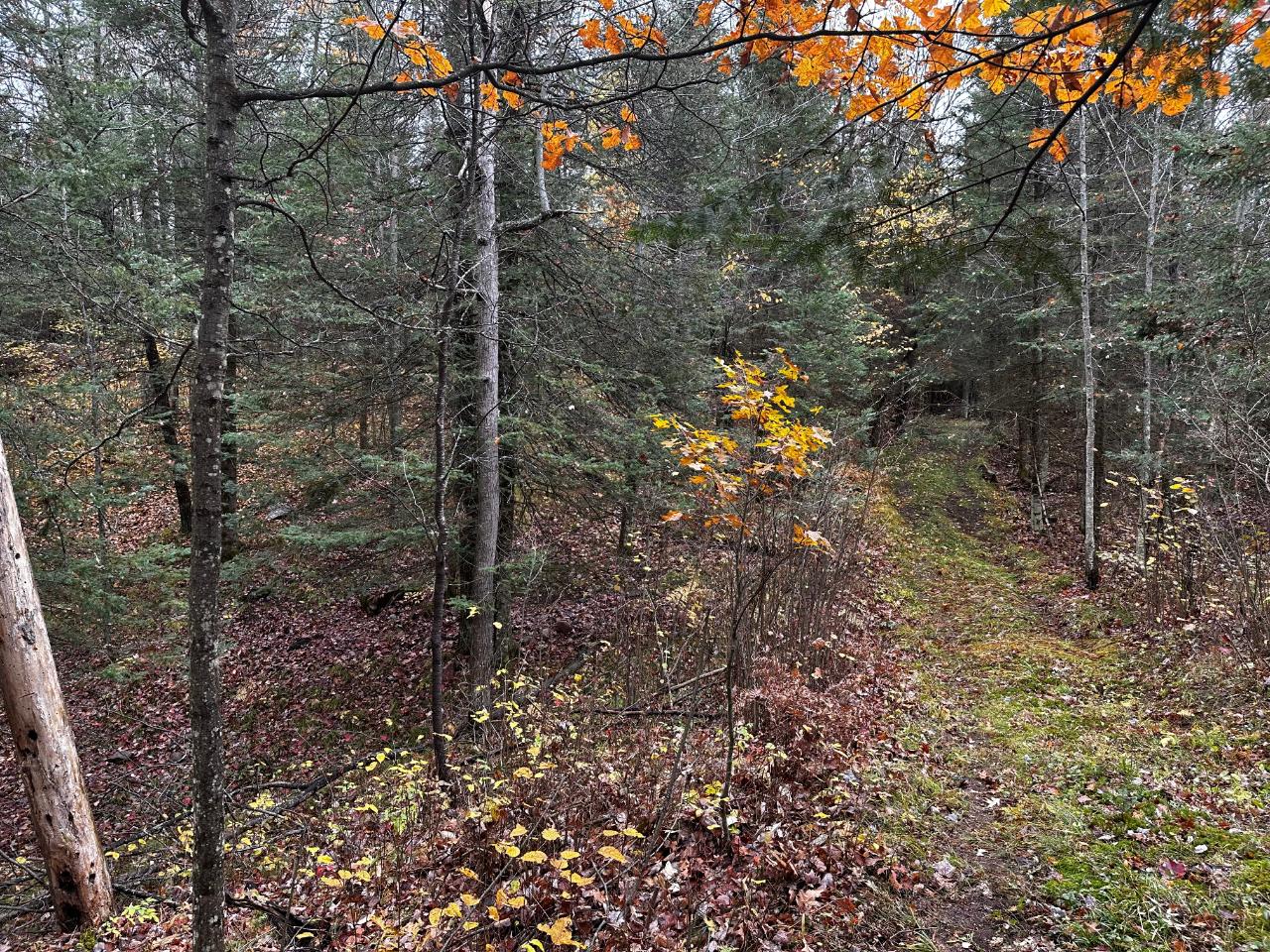 On East Rapids Road Lake Tomahawk, WI 54539 - Photo 16 of 33 Gallery Image 16