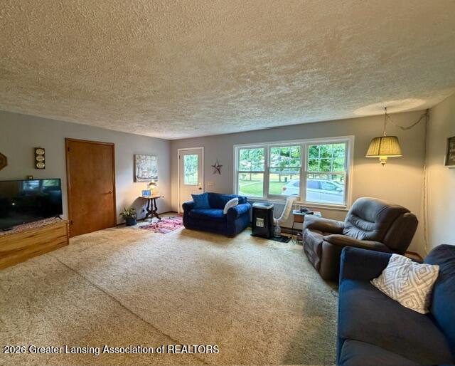 9230 West Howe Road Eagle, MI 48822 - Photo 14 of 29 IMG_5005