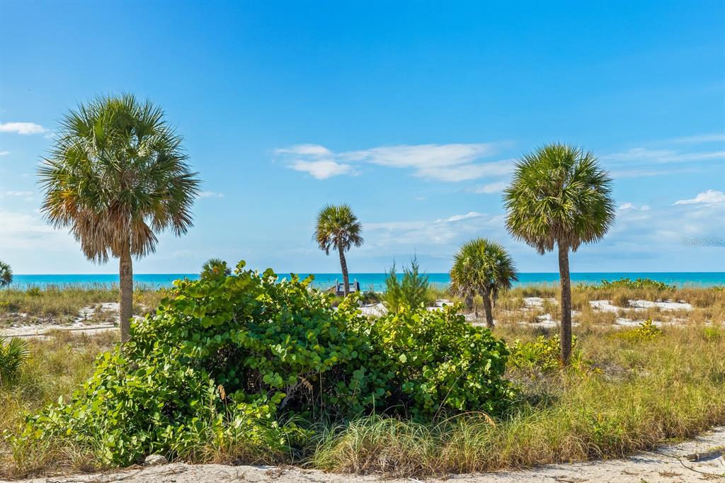 5000 Gasparilla Road, Unit BC105 Boca Grande, FL 33921 - Photo 15 of 33 a view of a garden