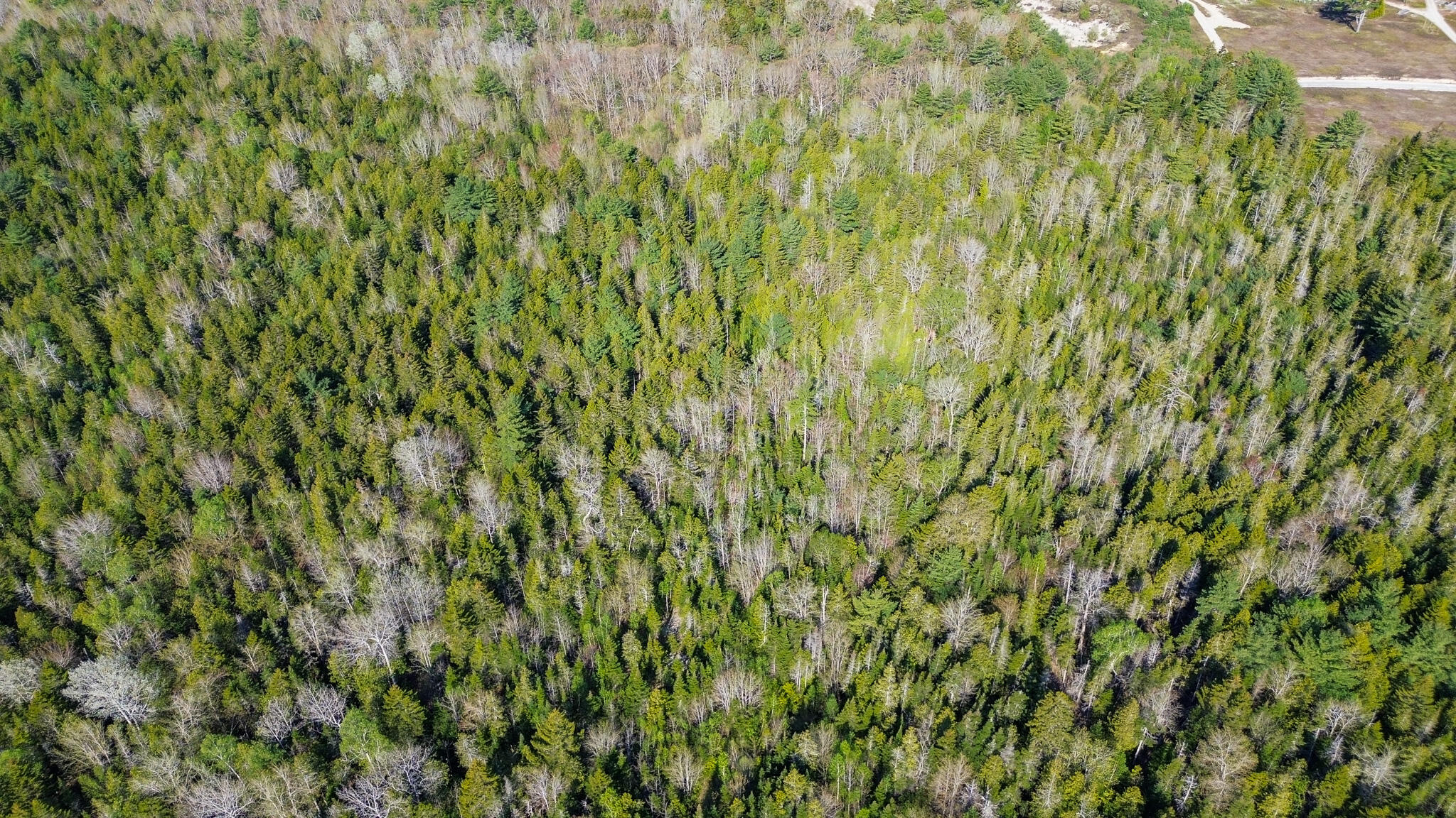 6-019a Punkinville Road Sullivan, ME 04664 - Photo 6 of 7 14